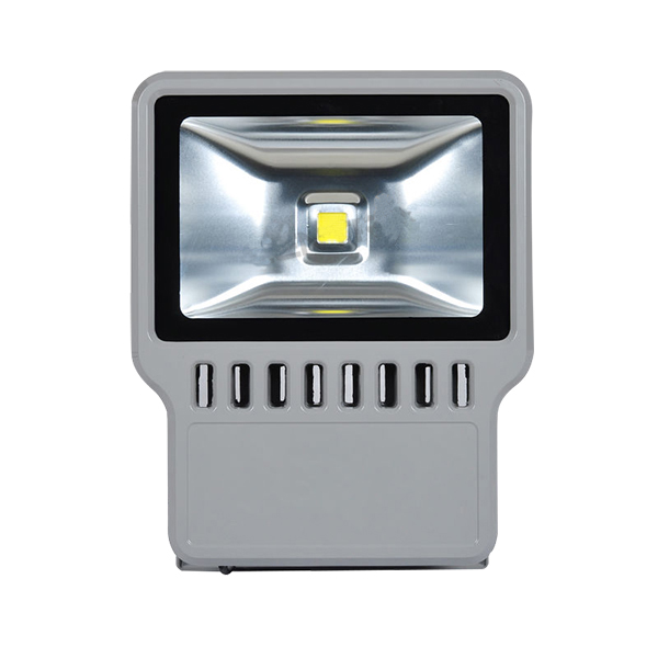 LV-6110-S1 LED Flood Light