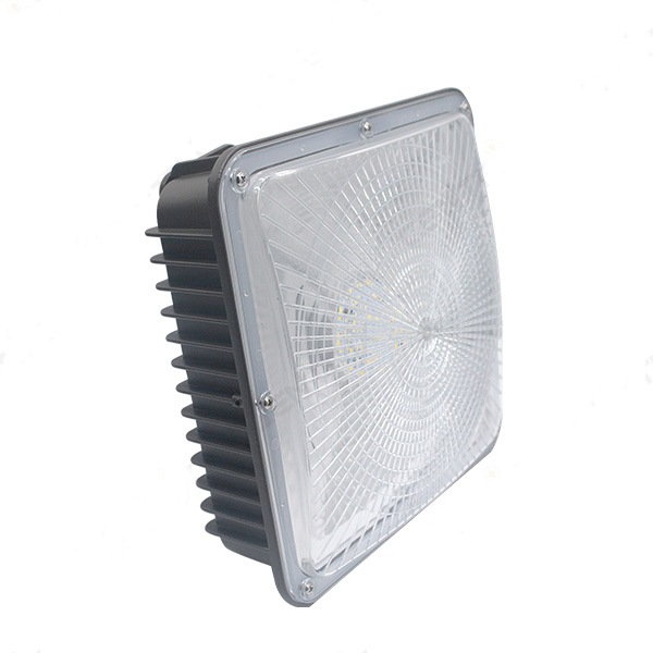 LV-6703-S2 LED Canopy Light