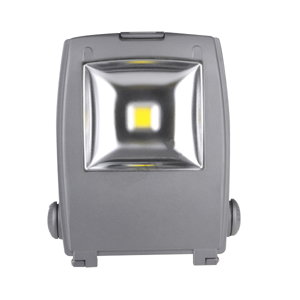 LV-6101-S2 LED Flood Light