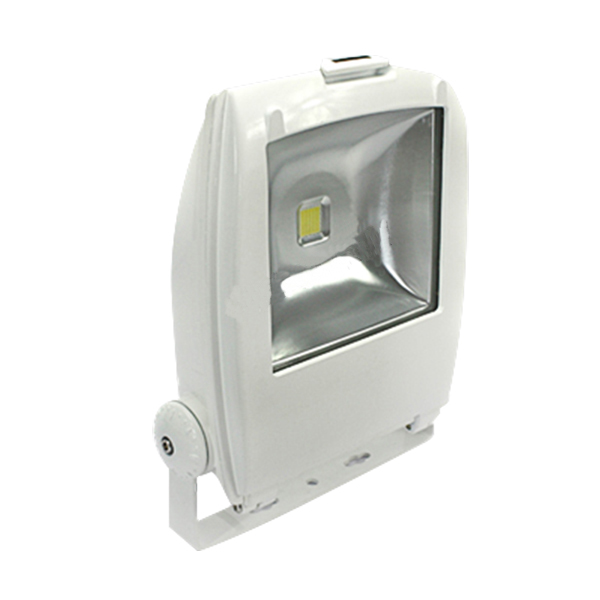 LV-6102-S2 LED Flood Light