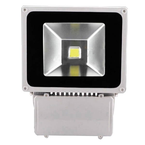 LV-6107-S1 LED Flood Light