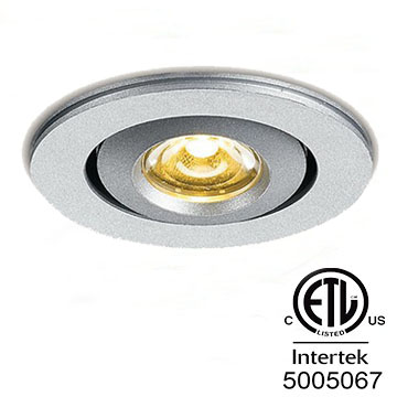 Swivel Recessed Puck Light